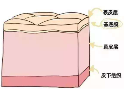 玻尿酸填充會(huì)影響上班嗎