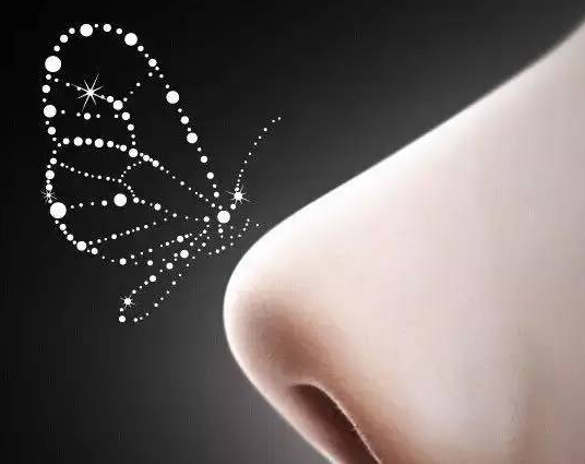 耳軟骨隆鼻會不會被吸收