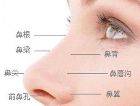 軟骨隆鼻后多久可以上班