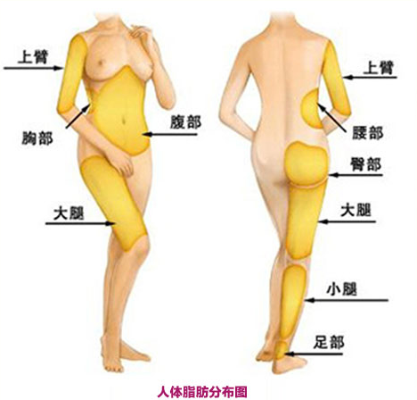 吸脂減肥手術(shù)要注意哪些風(fēng)險問題